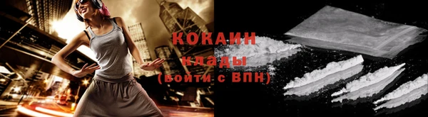 прущие грибы Магадан