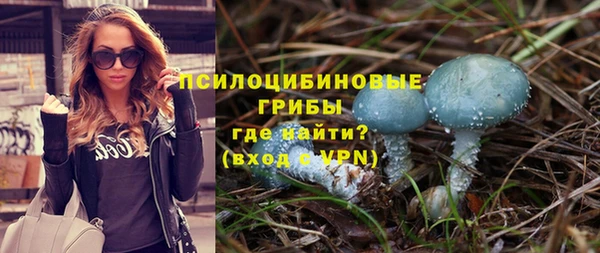 прущие грибы Магадан