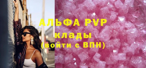 прущие грибы Магадан