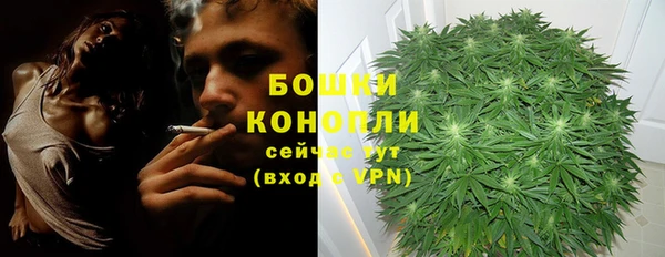 дистиллят марихуана Магас