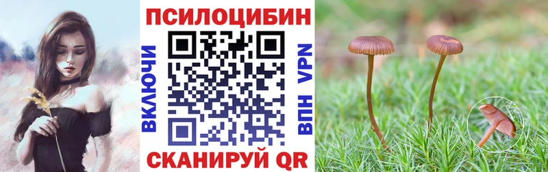 Псилоцибиновые грибы мухоморы  Купить где  Кушва 